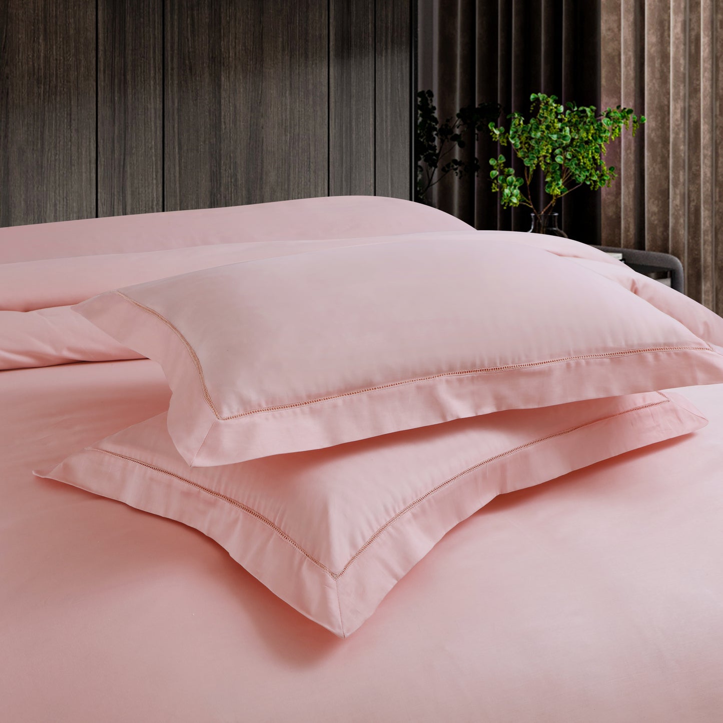 Classic Solid Cotton Bed Sheet By ROSS