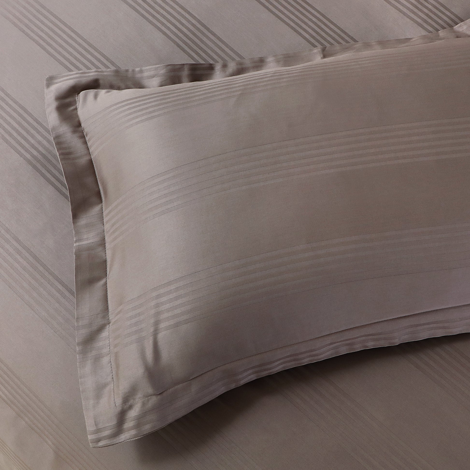 Triumph Bedsheet Collection By Ross - Mansarover Furnishings