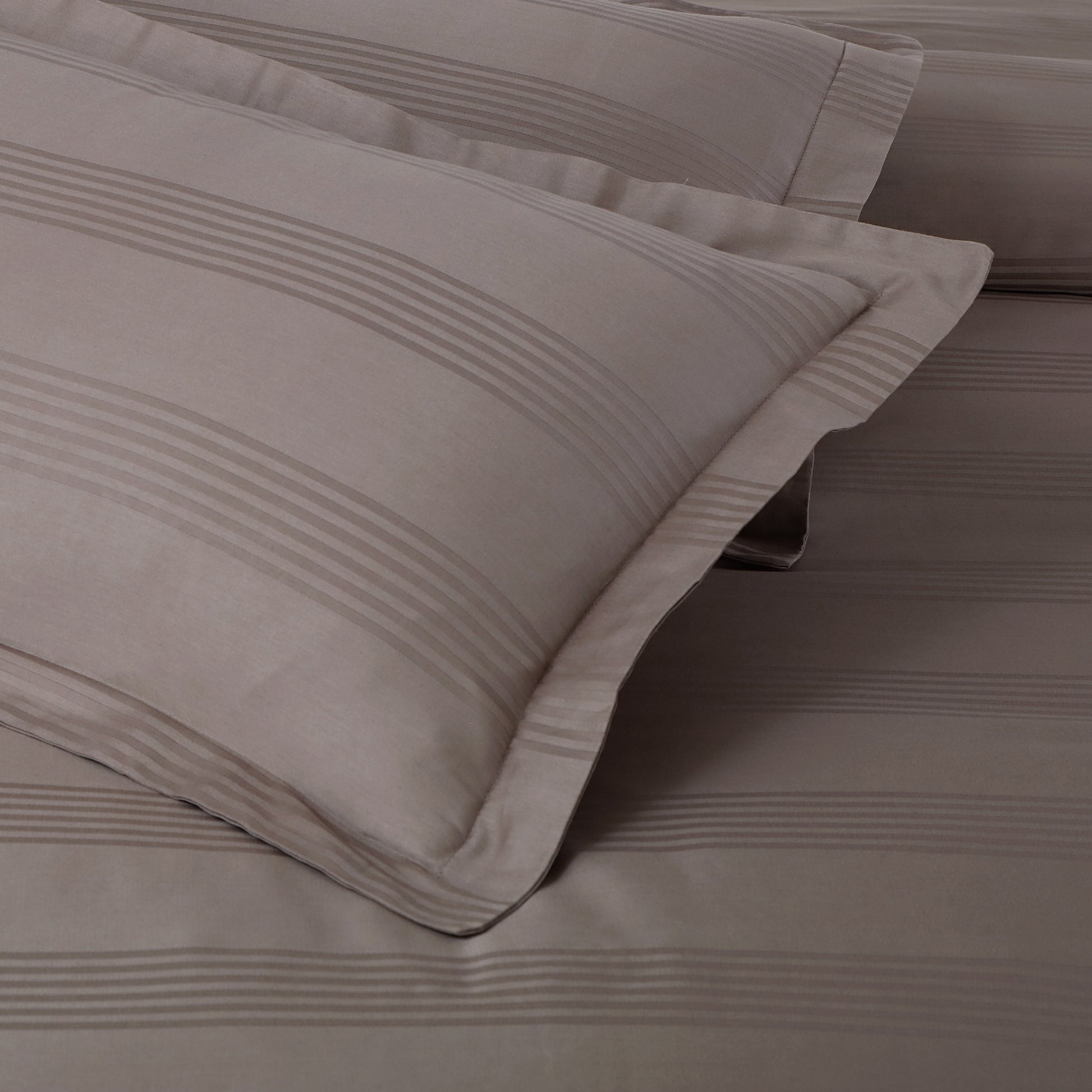 Triumph Bedsheet Collection By Ross - Mansarover Furnishings